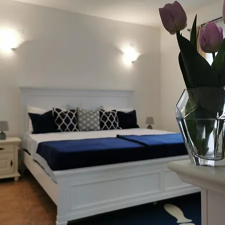 Casa Olive Holiday home *