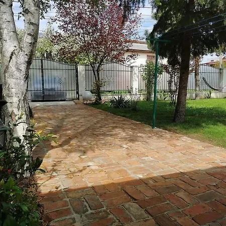 Hébergement de vacances Casa Olive *