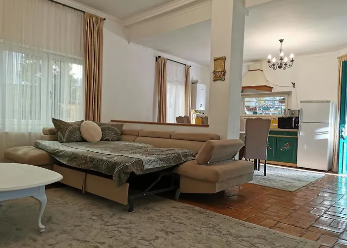 Casa Olive Costinesti